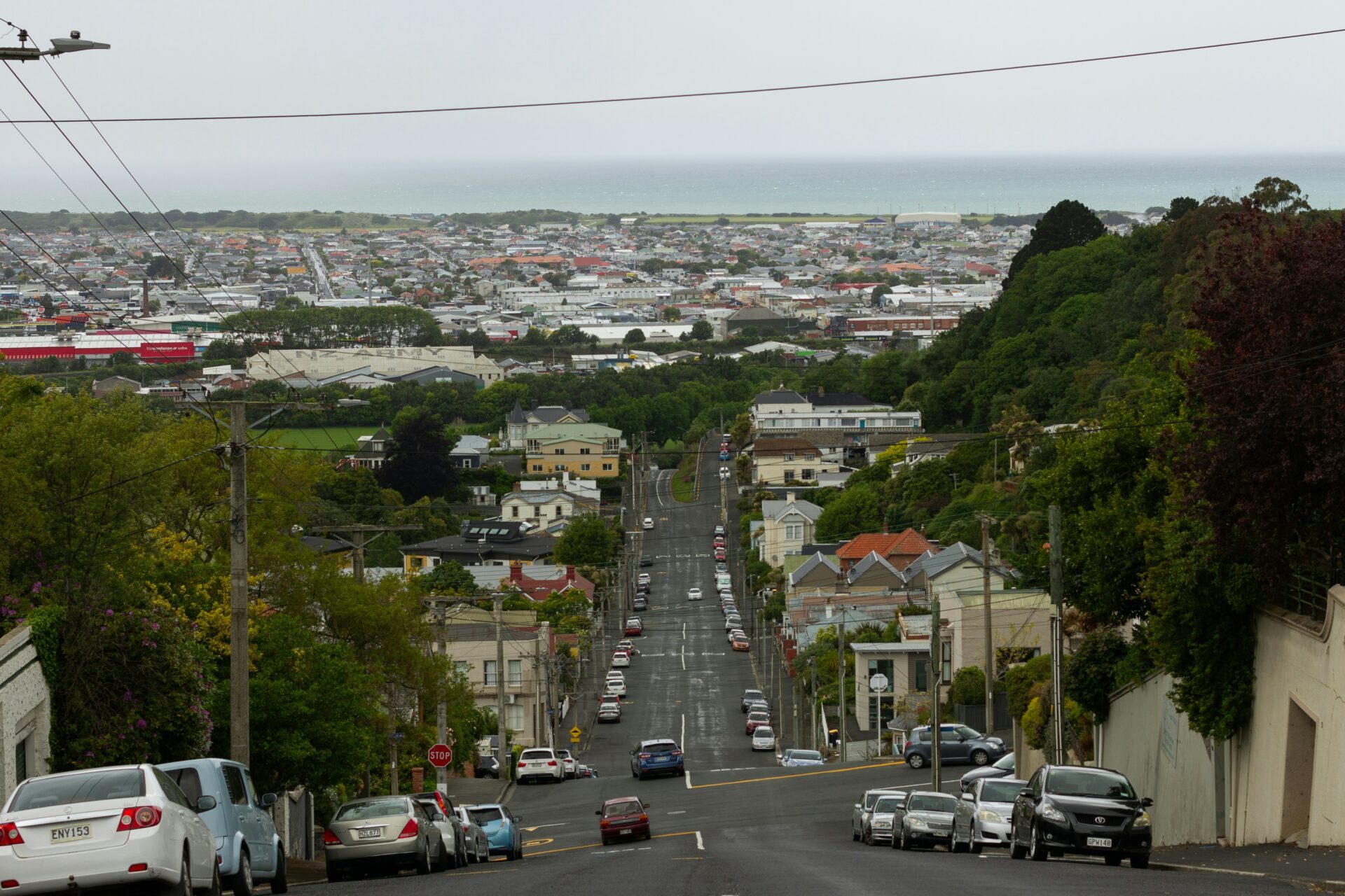 baldwin street dunedin