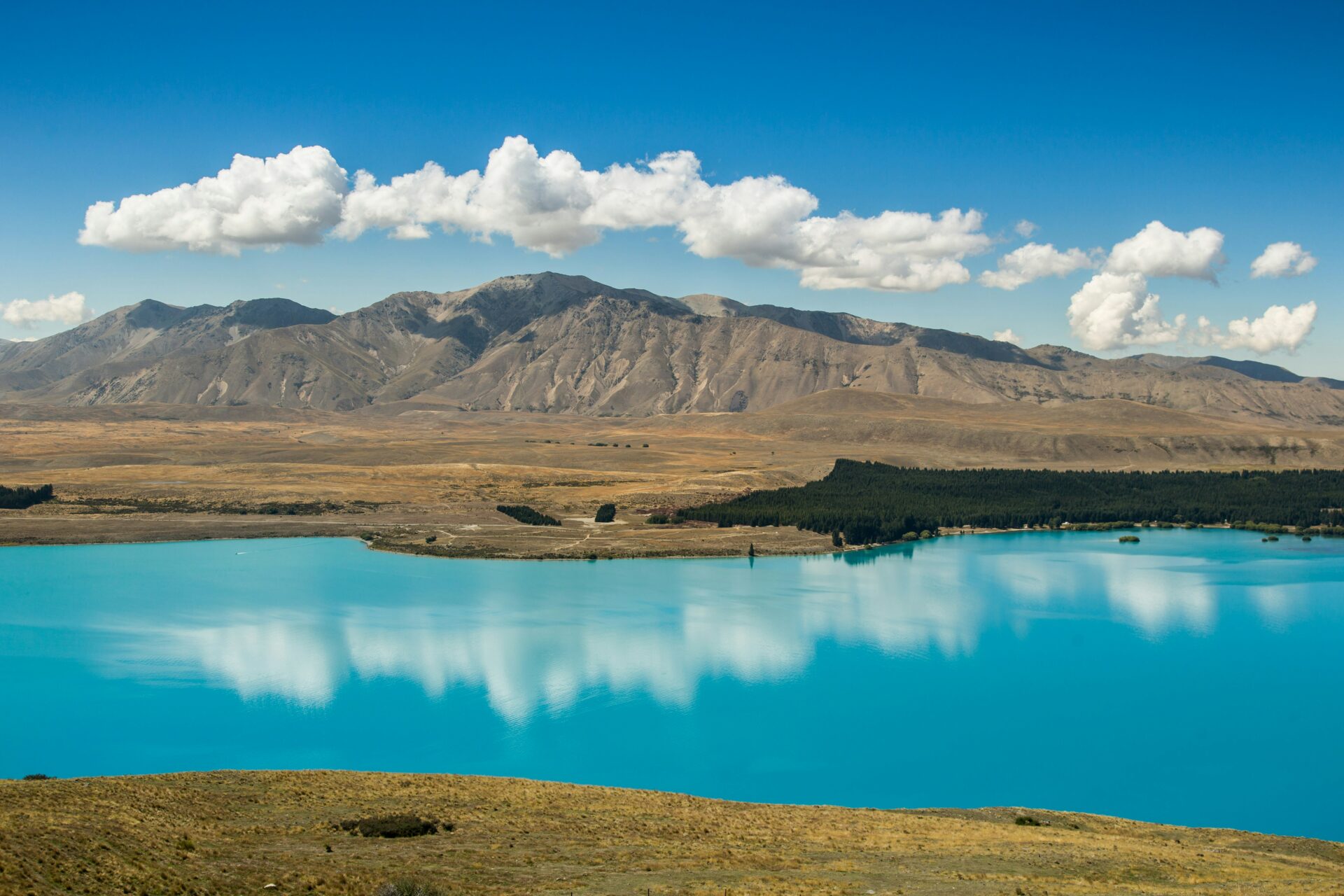 bleu turquoise du lac tekapo