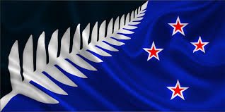 drapeau nouvelle zelande silver fern flag