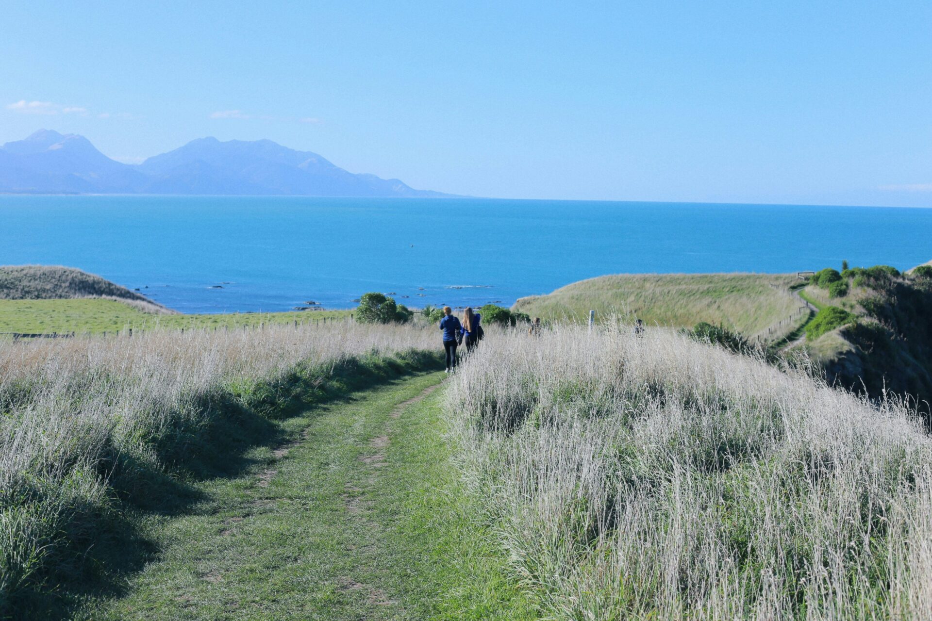 peninsule de kaikoura