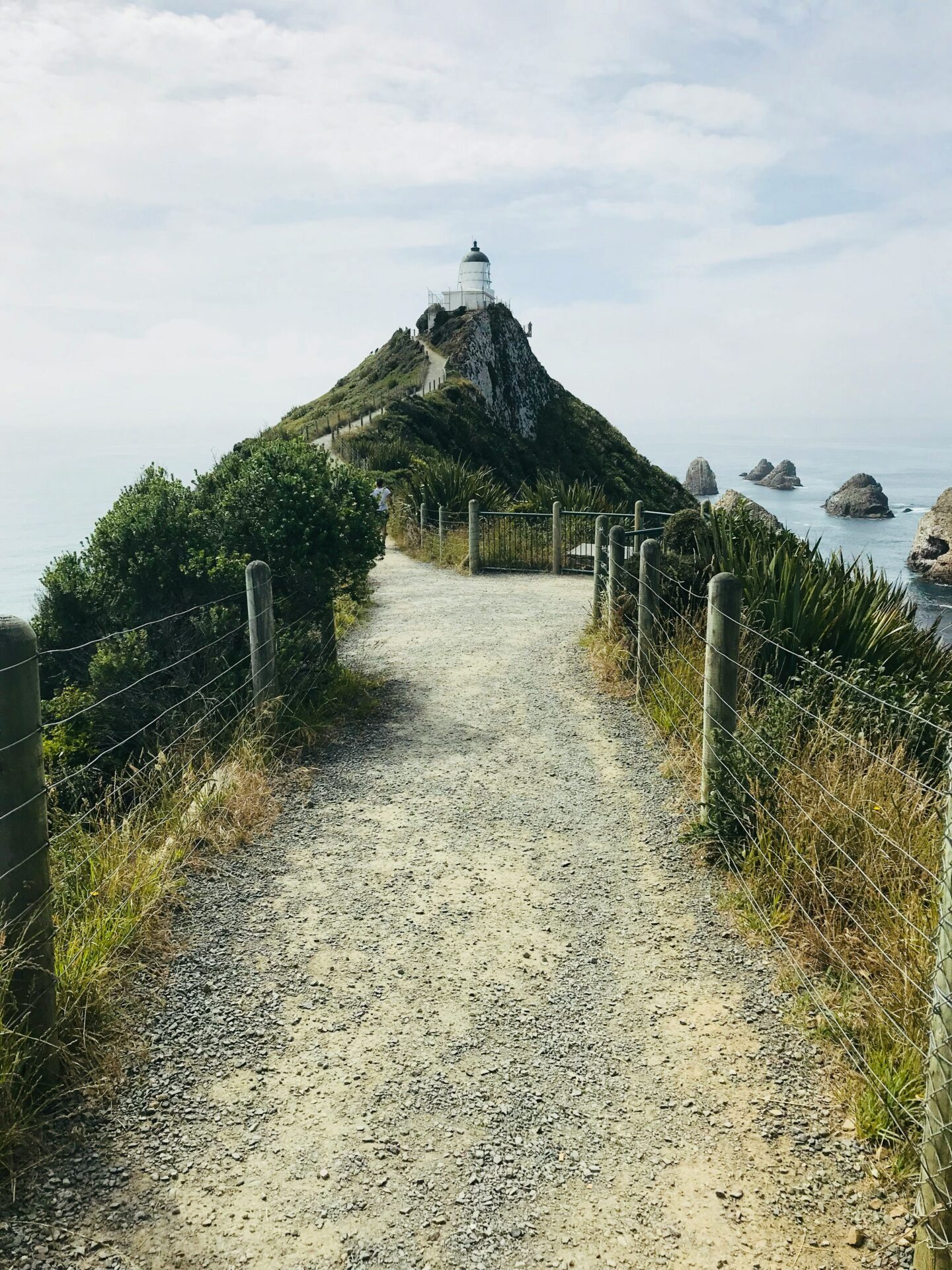 phare de nugget point