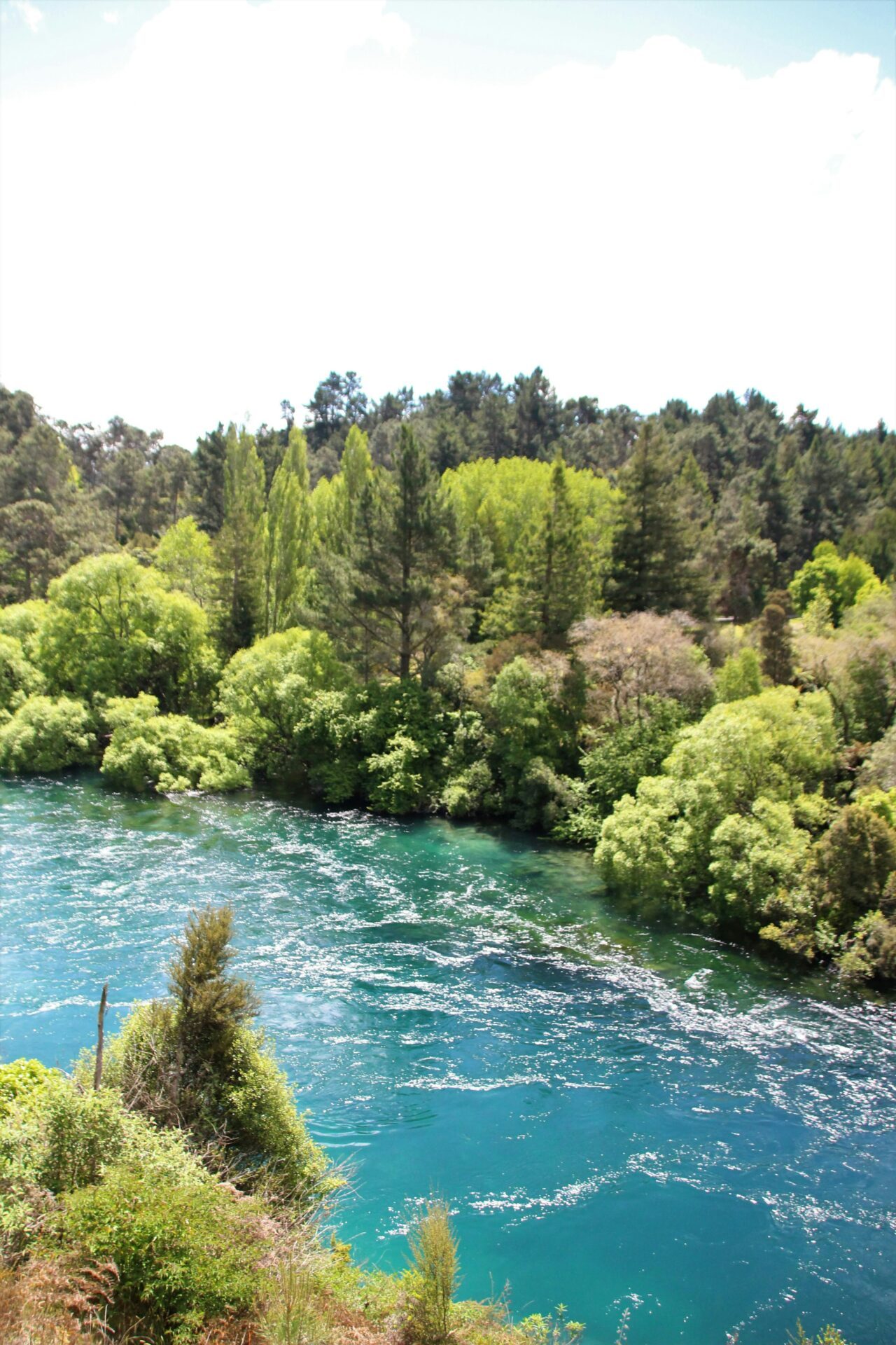 riviere de nouvelle zelande