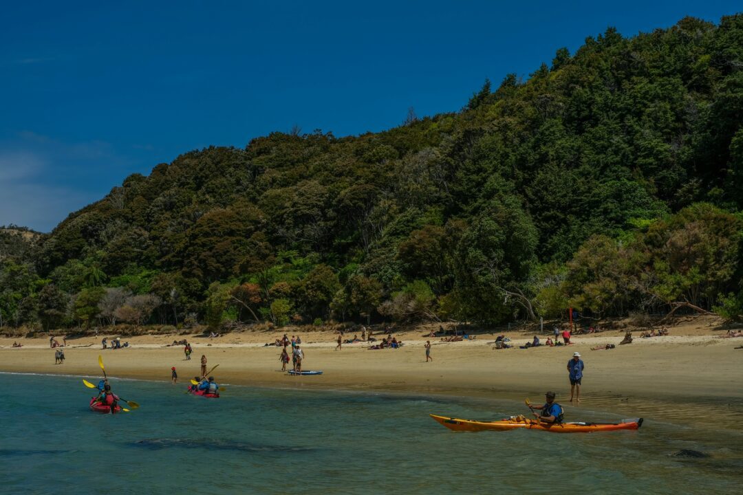 kayaks dans label tasman