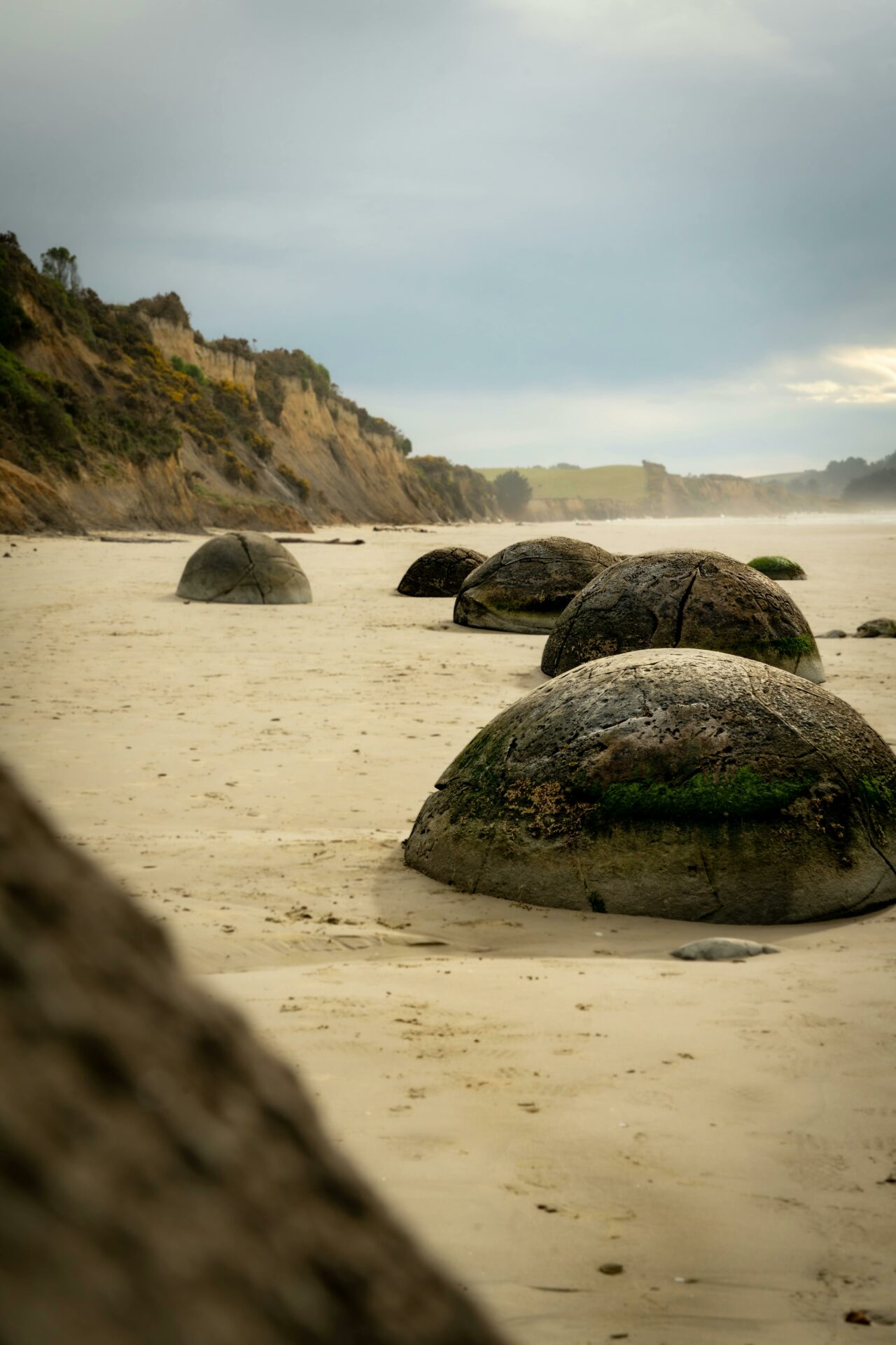 moeraki boulders sur la plage de koekohe