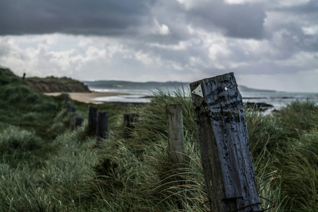 winter in new zealand coast