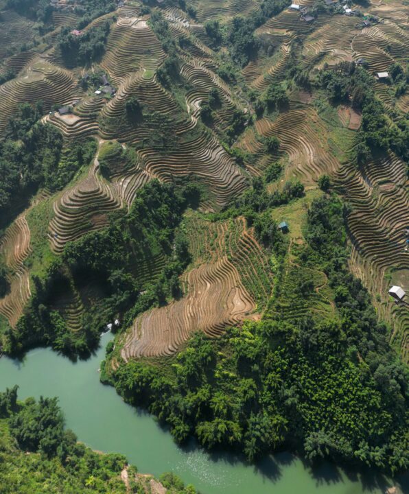 rizieres de sapa au vietnam