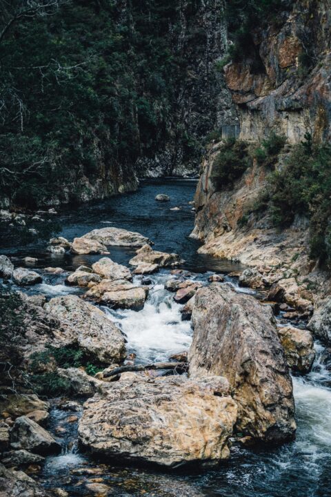 karangahake gorge riviere