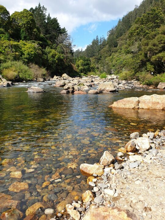 vue de karangahake gorge