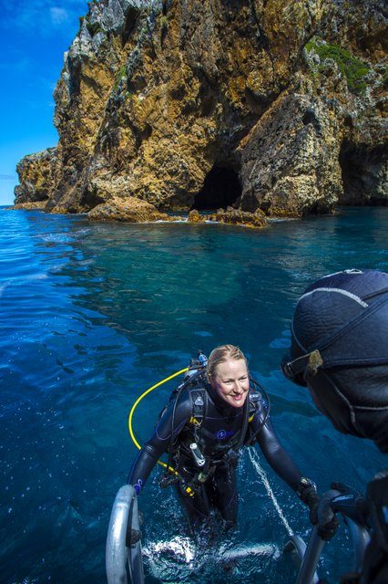 diving at the poor knights islands marine reserve