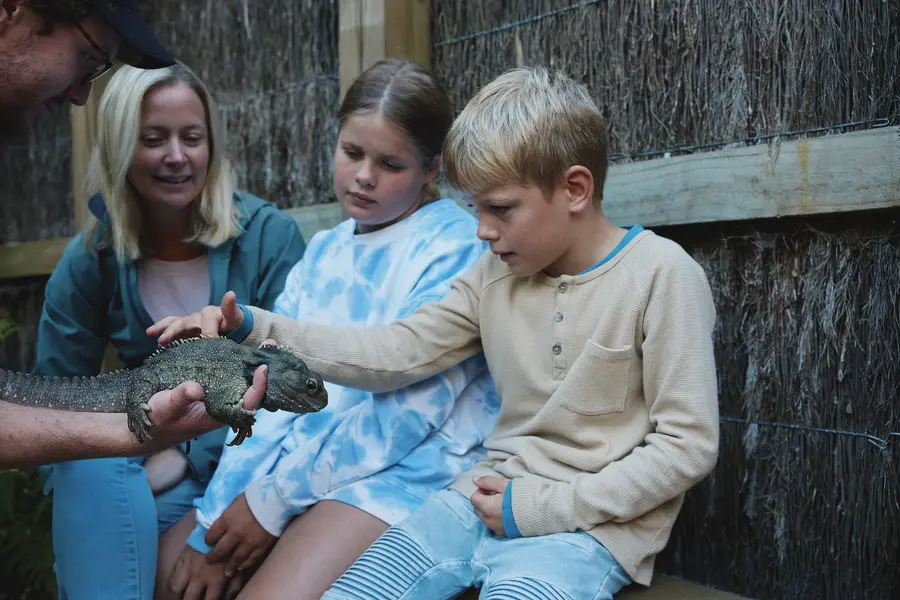 hamilton zoo tuatara encounter