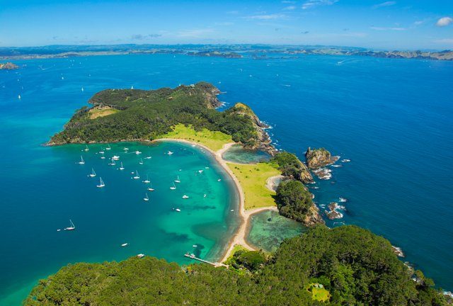 roberton island, bay of islands small