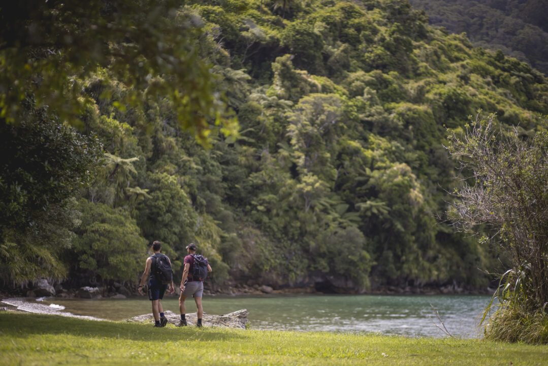 queen charlotte track marlborough